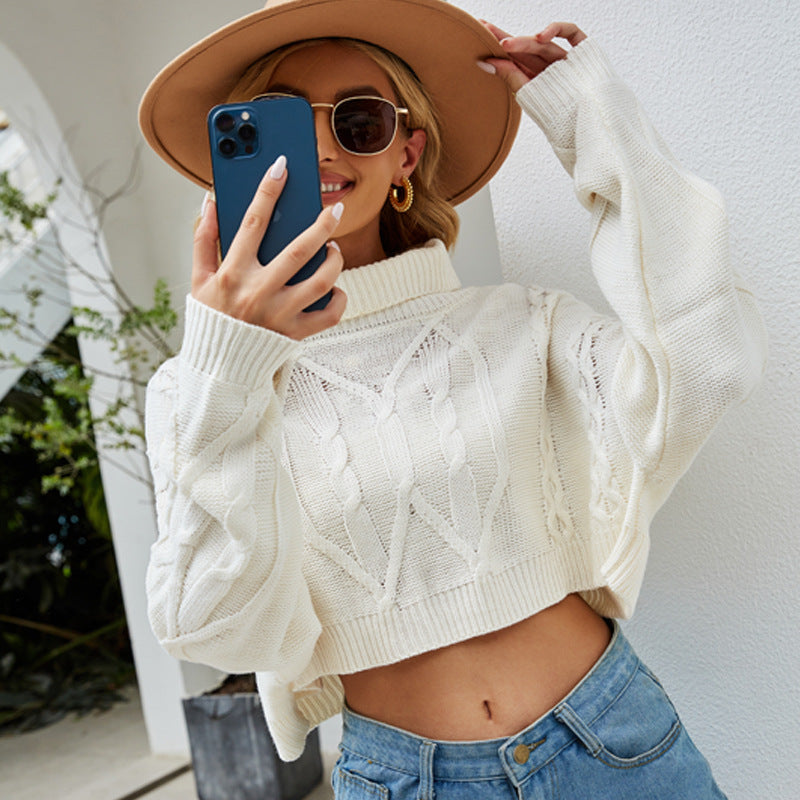 Dahliana Turtleneck Sweater