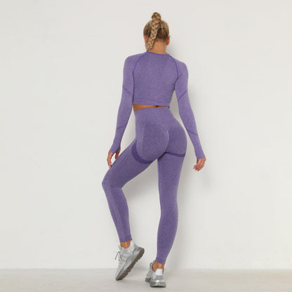 Seamless Yoga Suit