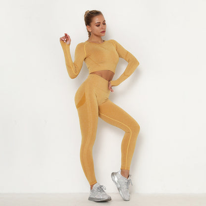 Seamless Yoga Suit
